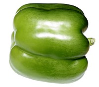 poivron vert